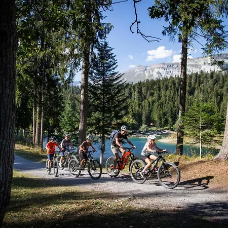 Cosy Alpine By Interhome *